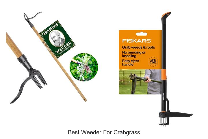 Top 15 Best Weeder For Crabgrass That Actually Works!