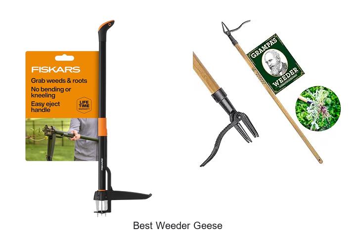 Top 15 Best Weeder Geese That Will Transform Your Garden