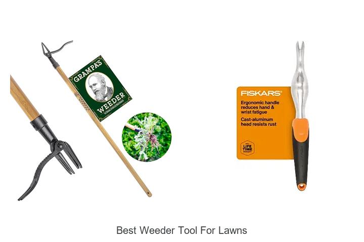 Top 15 Best Weeder Tool for Lawns That Will Blow Your Mind