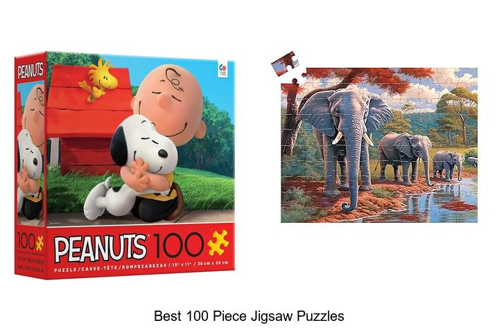 Top 12 Best 100 Piece Jigsaw Puzzles You Can’t Miss