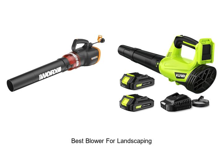 Best Blower For Landscaping: Unbelievable Power Revealed!