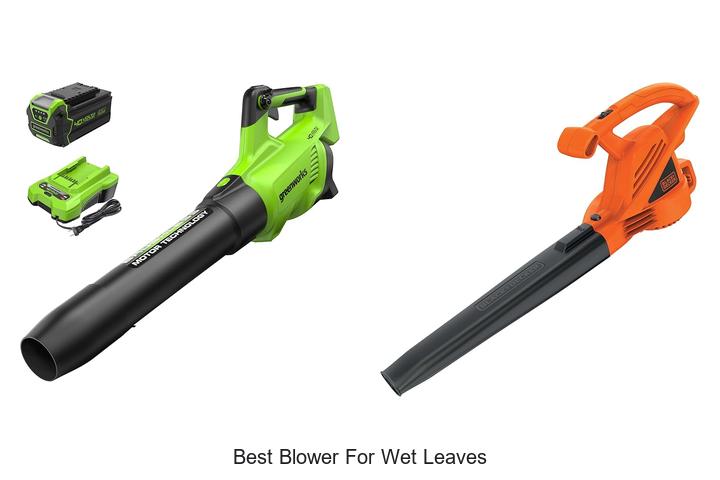 Top 15 Best Blower For Wet Leaves You Can’t Miss!
