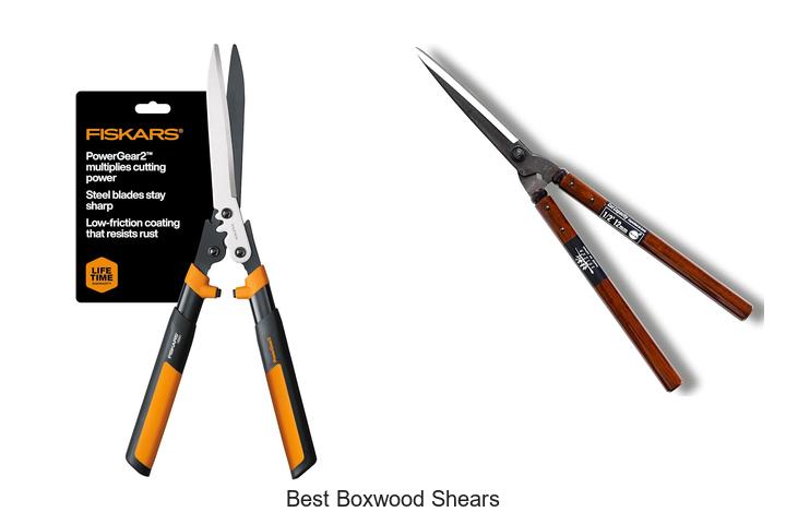 Top 15 Best Boxwood Shears You Can’t Miss Buying Now
