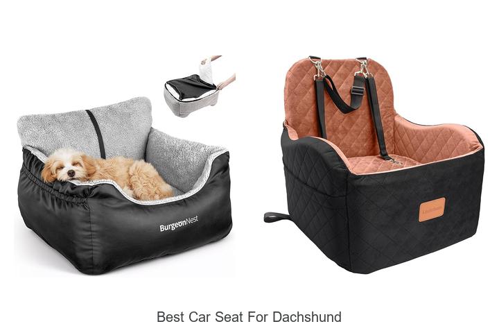 Top 12 Best Car Seat For Dachshund You Can’t Miss!