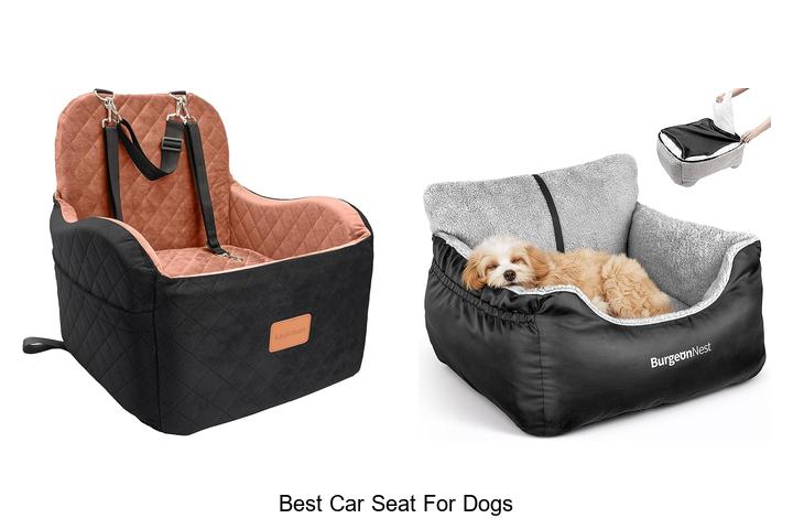 Top 12 Best Car Seat For Dogs That Will Keep Pets Safe!