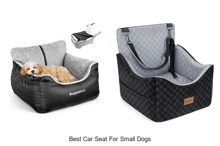 Top 12 Best Car Seat For Small Dogs You Can’t Miss!