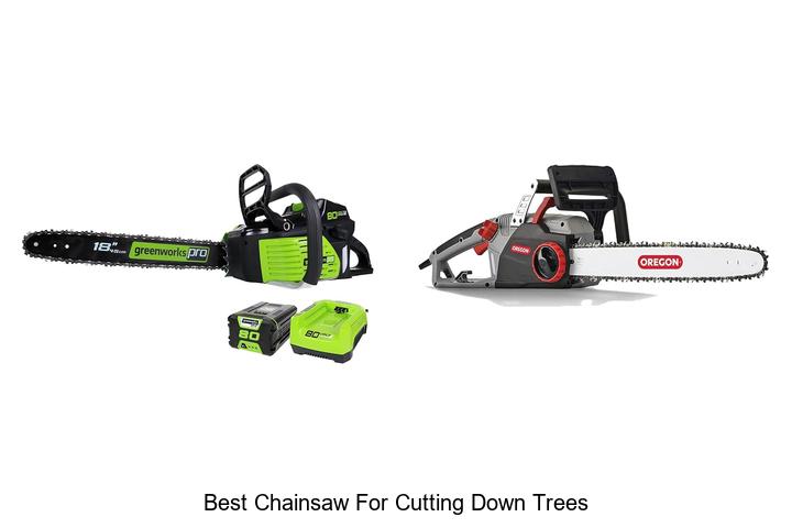Top 15 Best Chainsaw for Cutting Down Trees You Must See
