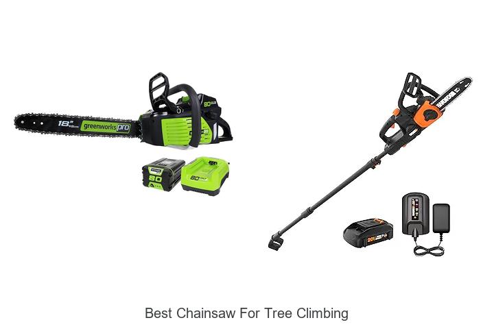 Top 15 Best Chainsaw For Tree Climbing You Can’t Miss!
