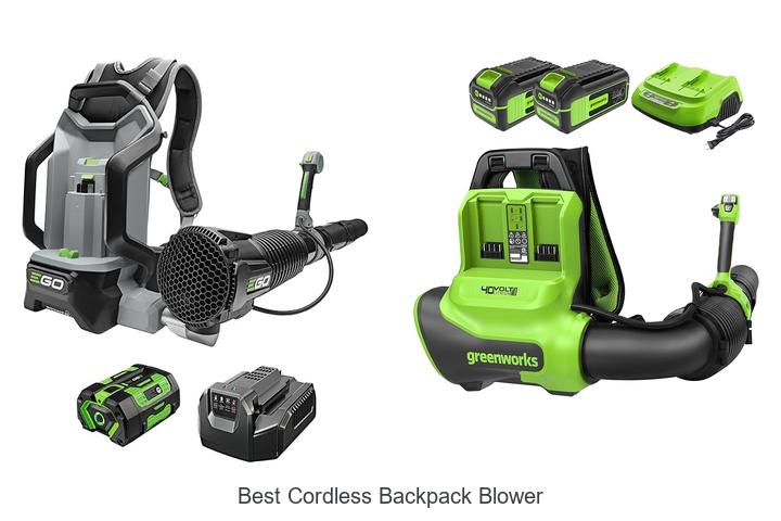 Best Cordless Backpack Blower That Blows Leaves Fast!