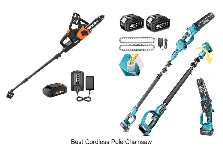 Best Cordless Pole Chainsaw That Will Blow Your Mind!