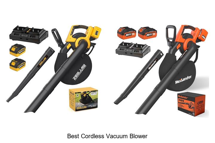 Best Cordless Vacuum Blower That Will Blow You Away!