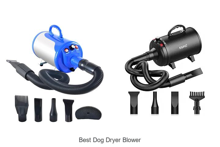 Top 15 Best Dog Dryer Blower That Will Blow You Away!