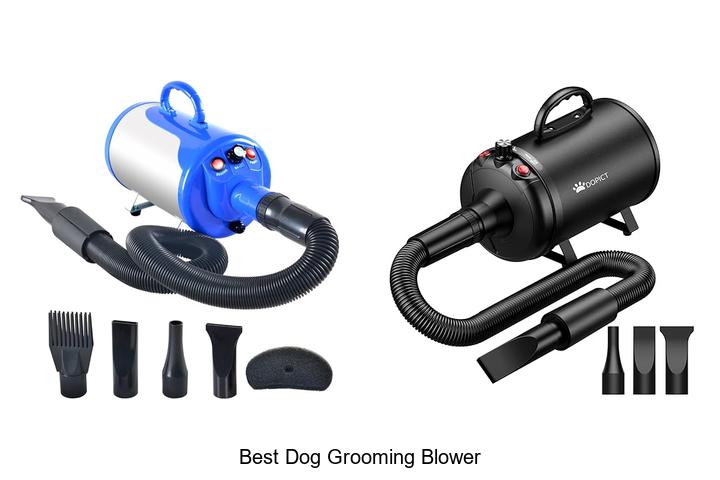 Top 15 Best Dog Grooming Blower That Will Amaze You