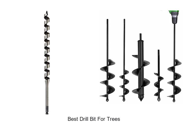 Top 15 Best Drill Bit for Trees You Can’t Miss Today