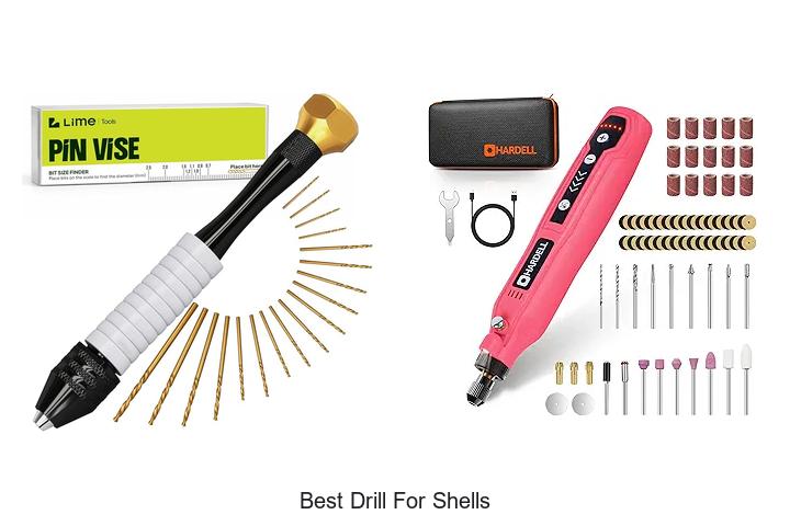 Top 15 Best Drill For Shells That Will Blow Your Mind