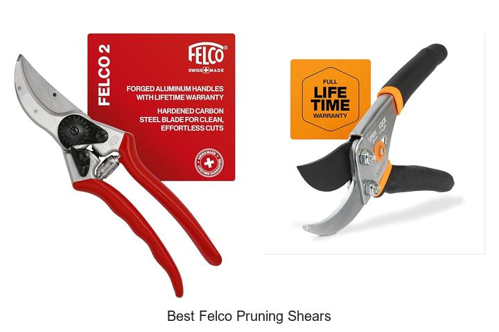 Top 12 Best Felco Pruning Shears You Can’t Miss!