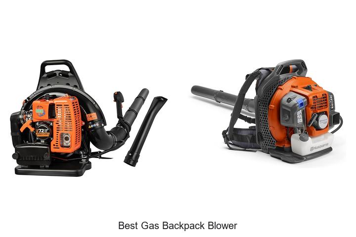 Top 15 Best Gas Backpack Blower You Can’t Miss Today