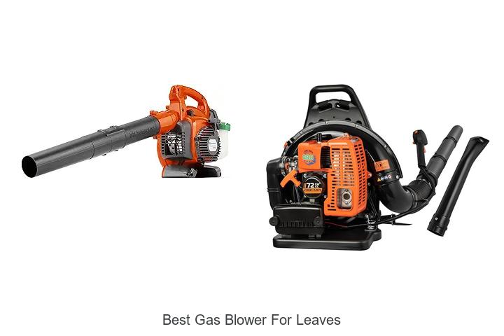 Top 15 Best Gas Blower For Leaves That Blow Away Dirt!