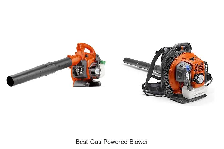 Top 15 Best Gas Powered Blower You Can’t Miss Today