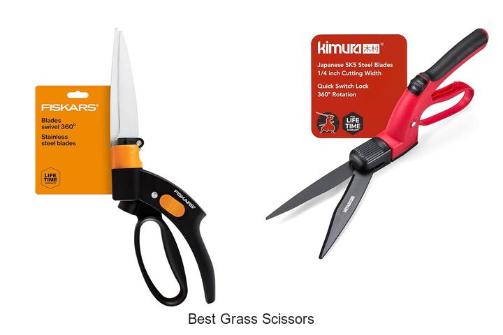 Top 15 Best Grass Scissors That Will Transform Your Lawn!