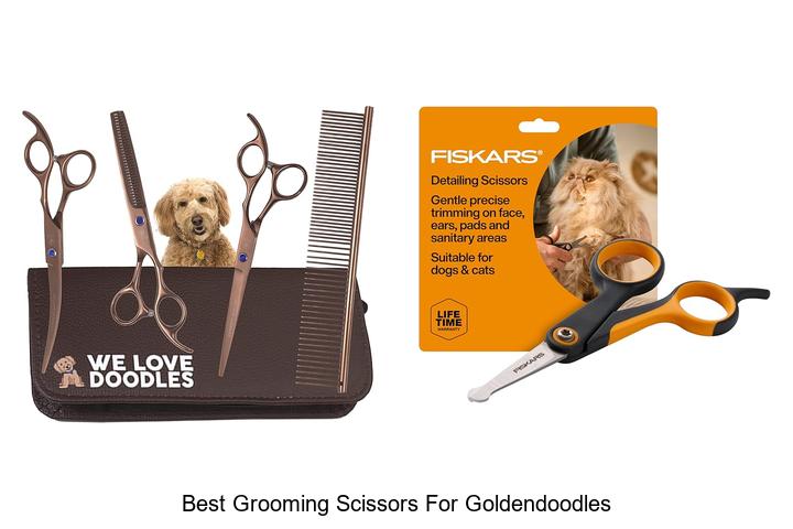 Top 15 Best Grooming Scissors for Goldendoodles You Need!
