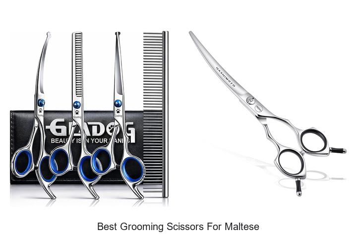 Top 15 Best Grooming Scissors for Maltese You Need Now