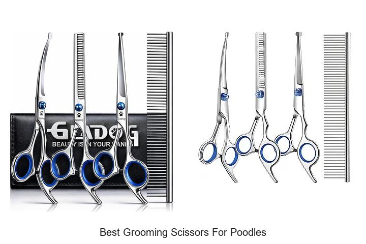 Top 15 Best Grooming Scissors for Poodles That Wow!