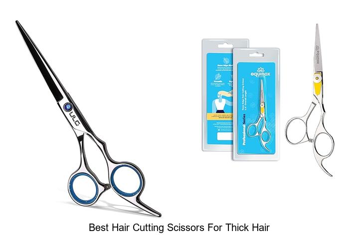 Top 15 Best Hair Cutting Scissors For Thick Hair Revealed!