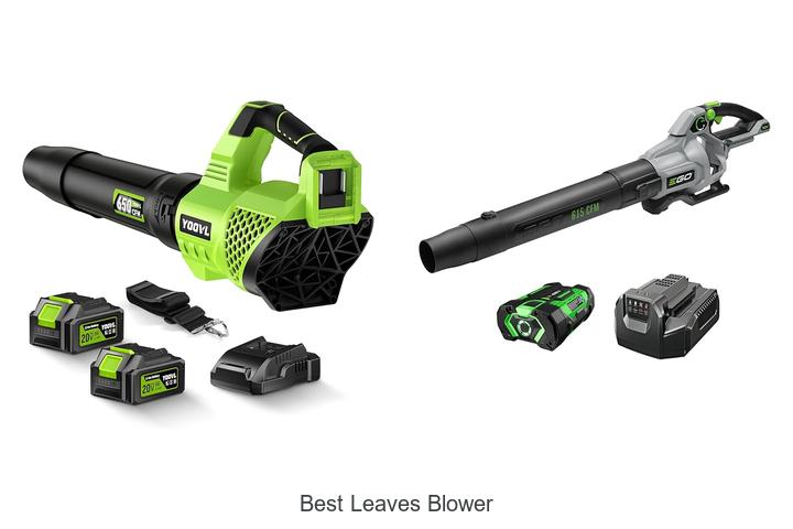 Top 15 Best Leaves Blower That Will Blow You Away!
