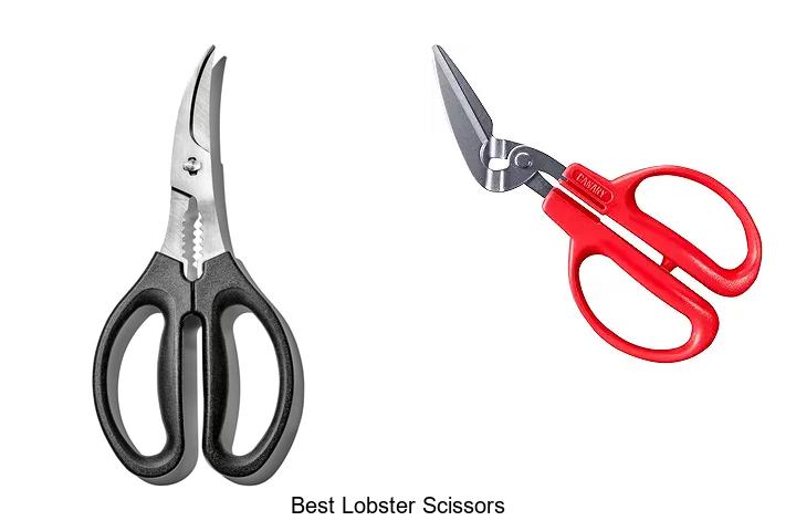 Top 15 Best Lobster Scissors You Can’t Cook Without!