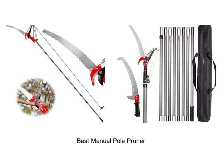 Top 10 Best Manual Pole Pruner That Will Transform Pruning!
