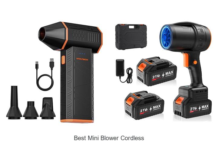 Best Mini Blower Cordless Power You Can’t Ignore Today