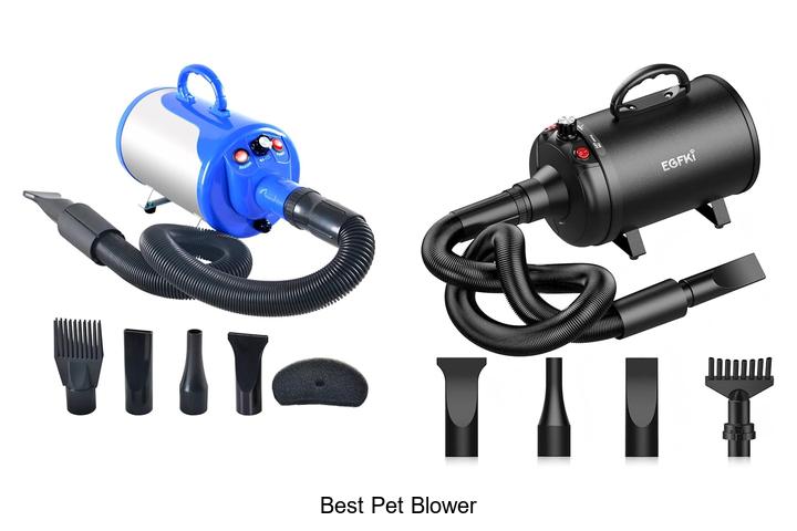 Best Pet Blower: Blow Away Pet Fur With This Game-Changer!