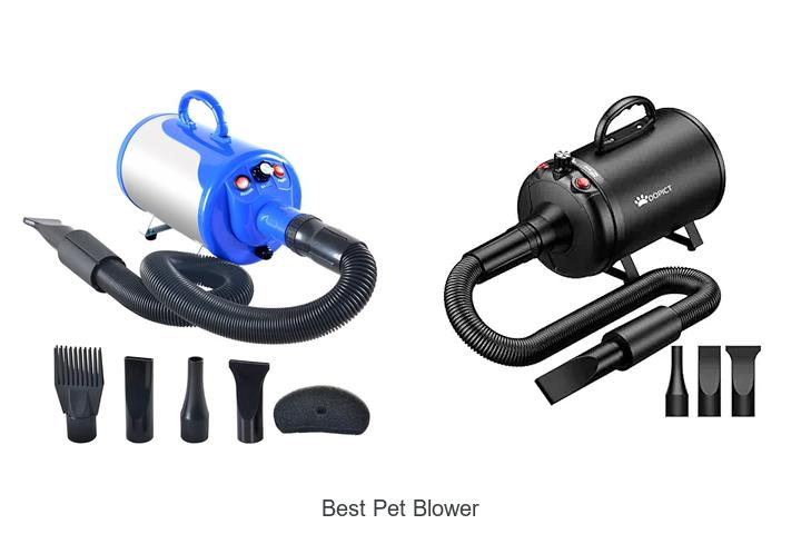 Top 15 Best Pet Blower That Will Change Grooming Forever