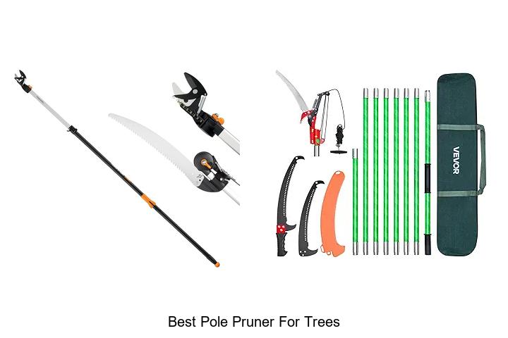 Top 15 Best Pole Pruner For Trees You Can’t Miss!
