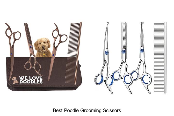 Top 15 Best Poodle Grooming Scissors You Need Today!