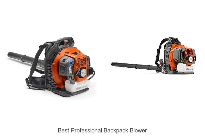 Top 15 Best Professional Backpack Blower You Need Today