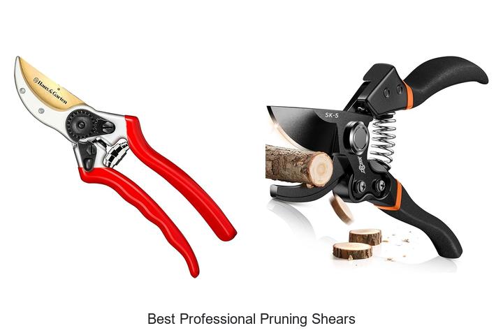 Top 10 Best Professional Pruning Shears That Experts Love