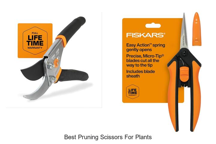 Top 15 Best Pruning Scissors for Plants You Can’t Miss