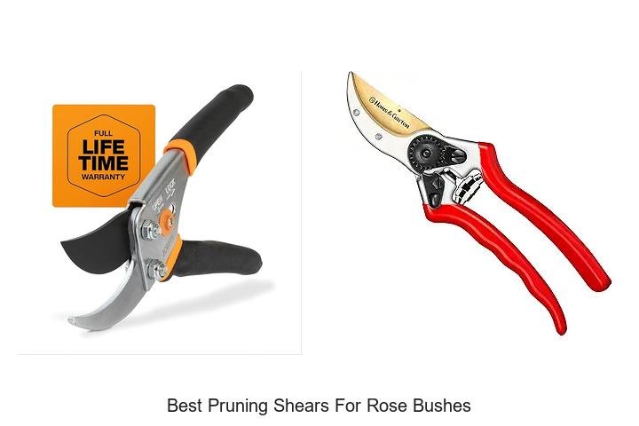 Top 15 Best Pruning Shears For Rose Bushes That Cut Perfectly