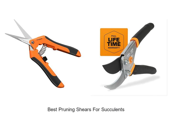 Top 15 Best Pruning Shears For Succulents You Need Now
