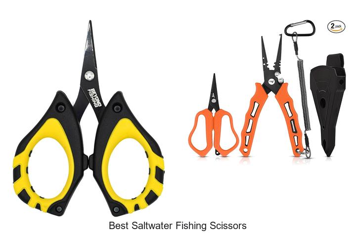 Top 15 Best Saltwater Fishing Scissors You Can’t Miss