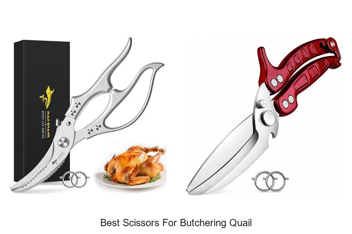Top 15 Best Scissors for Butchering Quail You Need Now