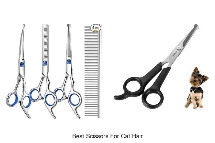 Top 15 Best Scissors for Cat Hair You Can’t Miss!