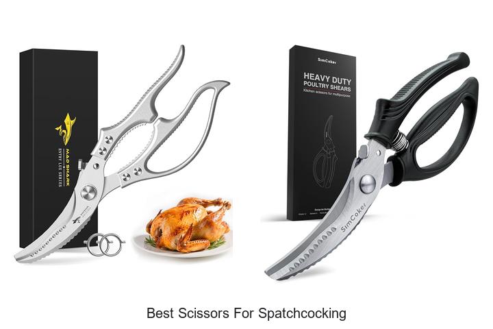 Top 15 Best Scissors For Spatchcocking You Must Have Now