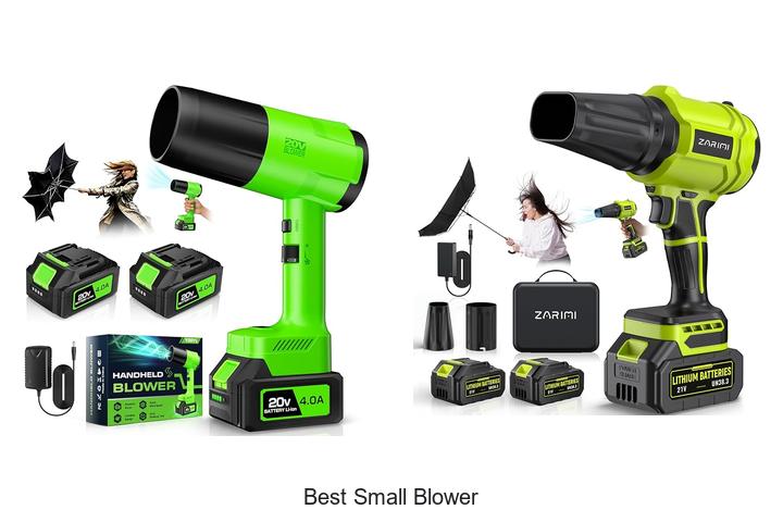 Top 15 Best Small Blower That Will Change Your Cleanup Game