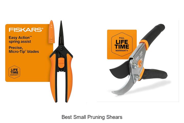 Top 15 Best Small Pruning Shears You Can’t Miss!