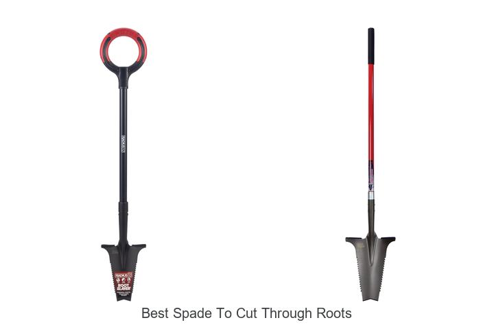 Top 15 Best Spade To Cut Through Roots That Will Blow Your Mind