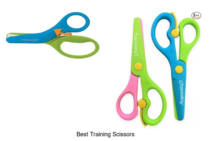 Top 15 Best Training Scissors You Can’t Miss Today!