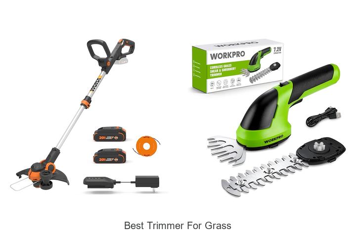 Top 15 Best Trimmer For Grass That Will Change Your Lawn Game